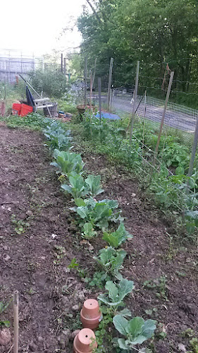 Walker & Clarke Builders Inc