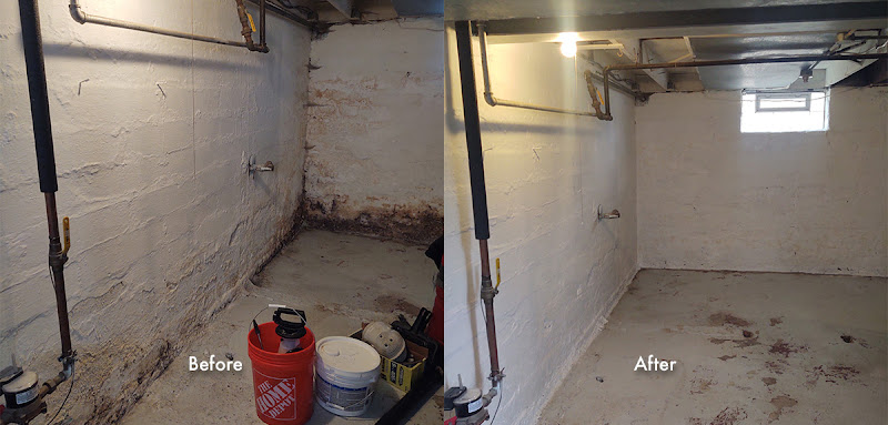 Certified Mold Inspection and Remediation Services