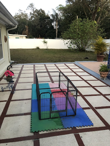 Gulf Coast Paver Restoration, Inc.