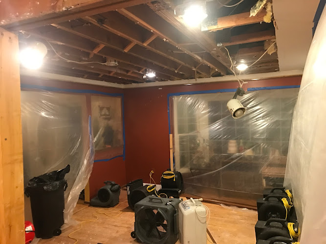 Ferguson Carpet & Furniture Cleaners