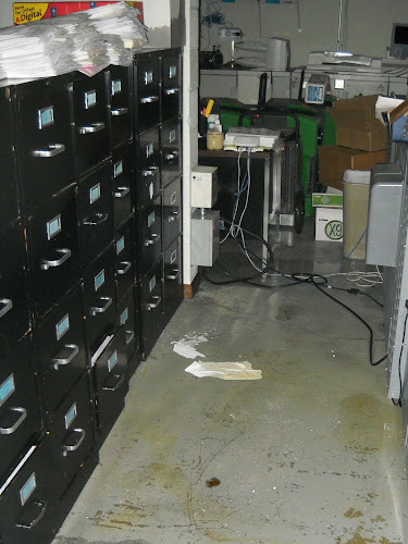 Disaster Cleanup & Repair