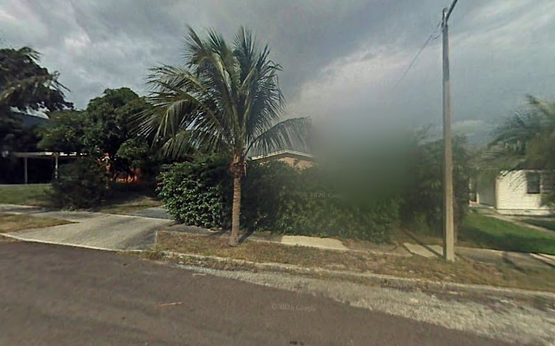 Orchid City Mold Removal Co