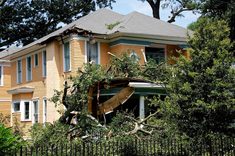 National Property Loss Co.