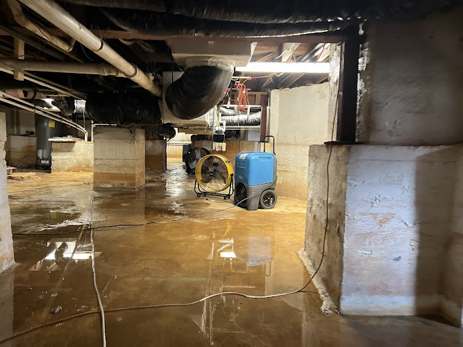 On the Spot Restoration