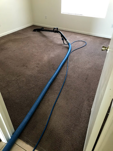 Dynamic Carpet Cleaning & Water Extraction