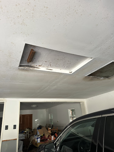 Regional Mold LLC Property Services