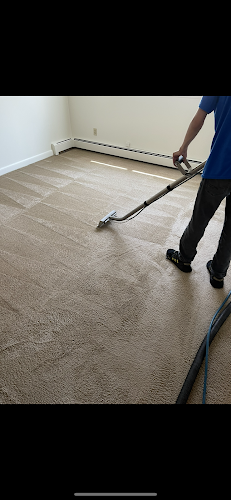 Roman Carpet Cleaning