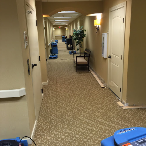 All Nation Restoration