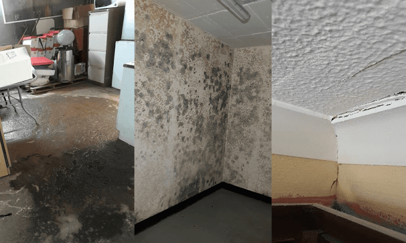 Water Damage Professionals