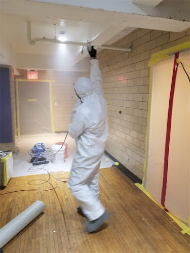 Davie Mold removal Prime