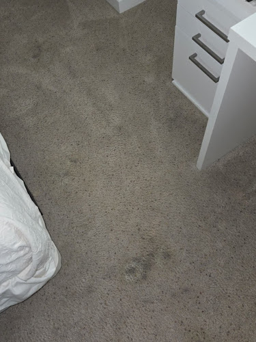 SuperDry Flood Cleanup