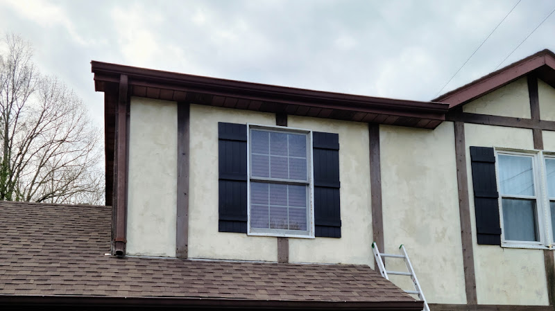 Mold Removal and Restoration of The Low Country