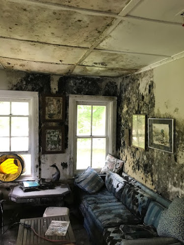 Ashley's Restoration