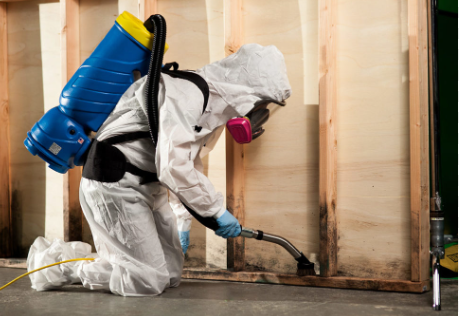 Dista Water Damage Restoration