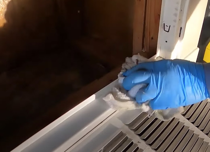 VA Beach Hero Mold Removal