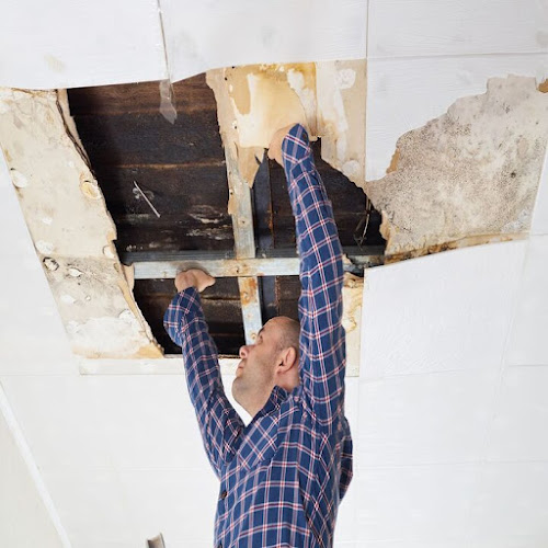Water Damage Experts of Peach State