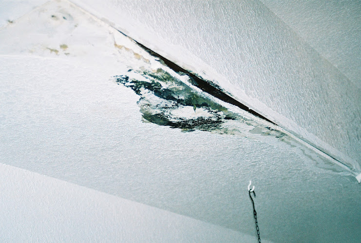 Southwest Mold Detection