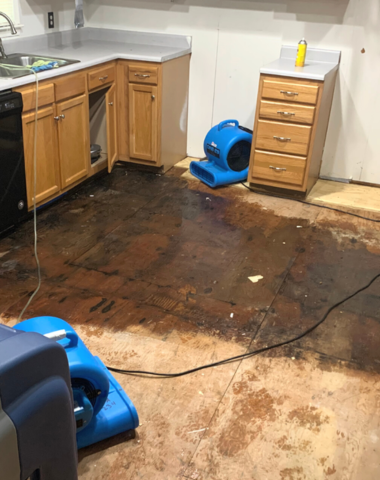 Aqua Stony Brook Water Damage Experts