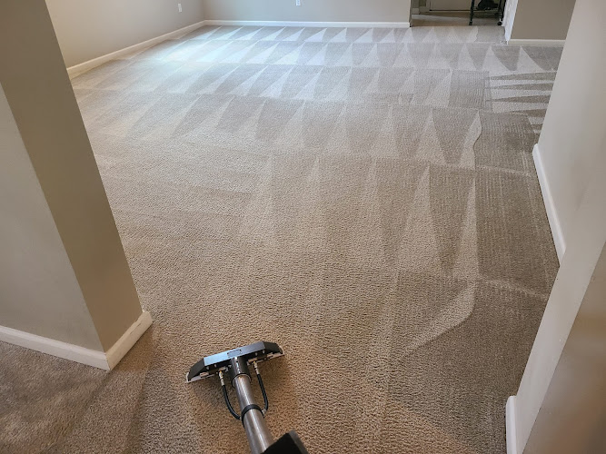 Steam Pro Cleaning & Restoration