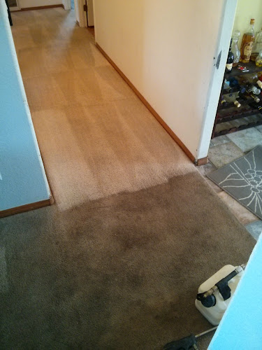 Silver Olas Carpet Tile Flood Cleaning