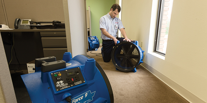 Rainbow International of Reno