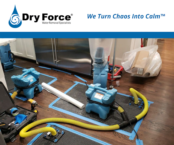 Dry Force Water Removal Specialists