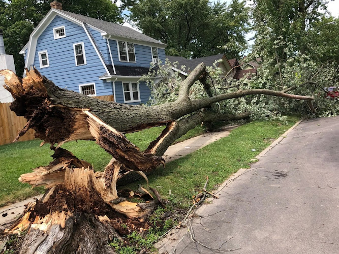 Cronin Water restoration