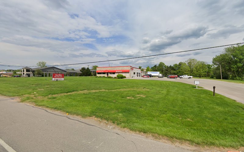 Ross Mold Remediation