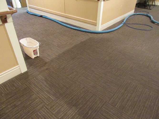 Magic Mist Cleaning Services