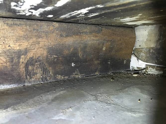 Reliant Mold Testing & Inspections