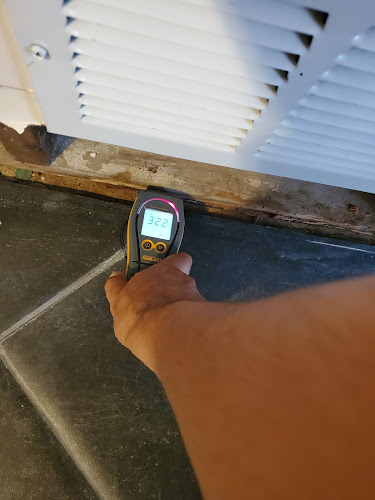 Black Mold Removal Inspection Manhattan NY