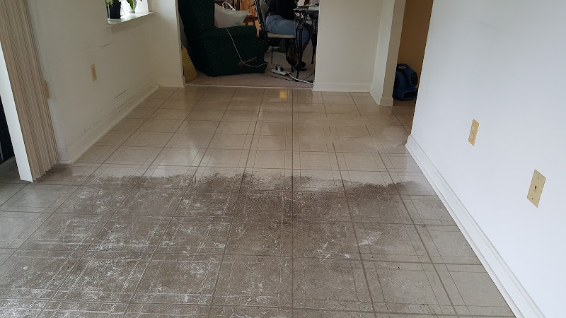 Extreme Carpet Cleaning LLC