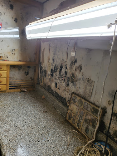 One Stop Mold Inspection Levittown NY