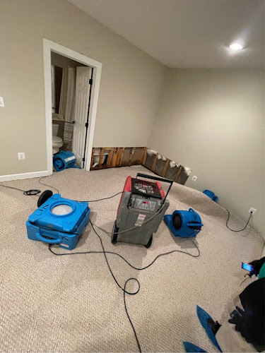 Prestige Restoration Alexandria