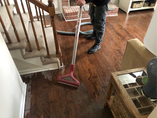 PuroClean Water/Mold/Fire Damage Experts