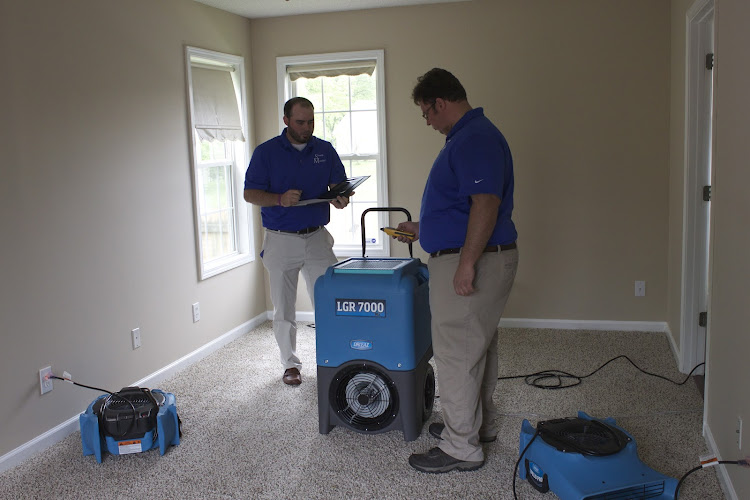 Steem Master Carpet Cleaner
