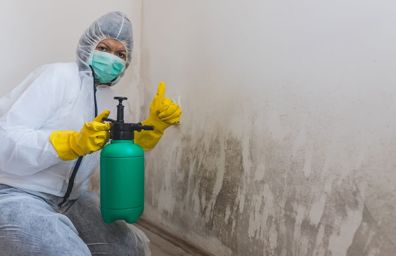 Mold Experts of Milwaukee