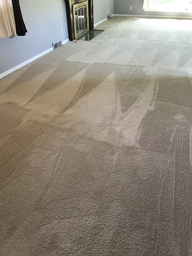 Genuine Carpet Cleaner