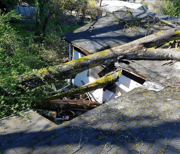 SERVPRO of Kitsap County