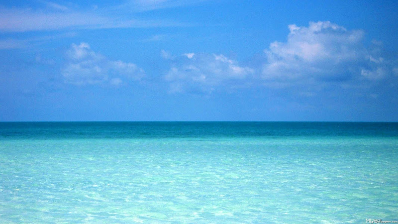 Streamline Home Services