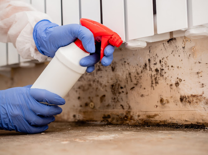 Lakemoor Mold Remediation