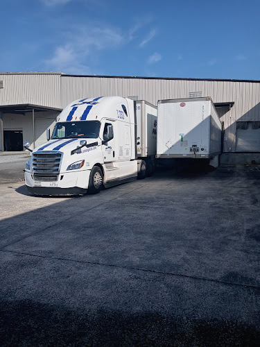 Scott Mold Inspection & Removal Of Calhoun