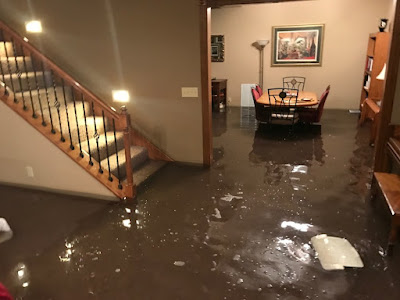Water Damage Palmetto pros