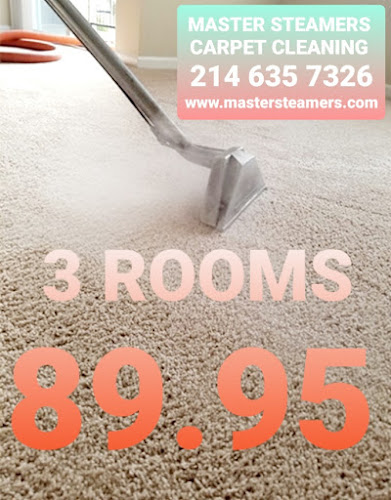 MASTER STEAMER'S CARPET CLEANING 3 ROOMS SPECIAL $90.00
