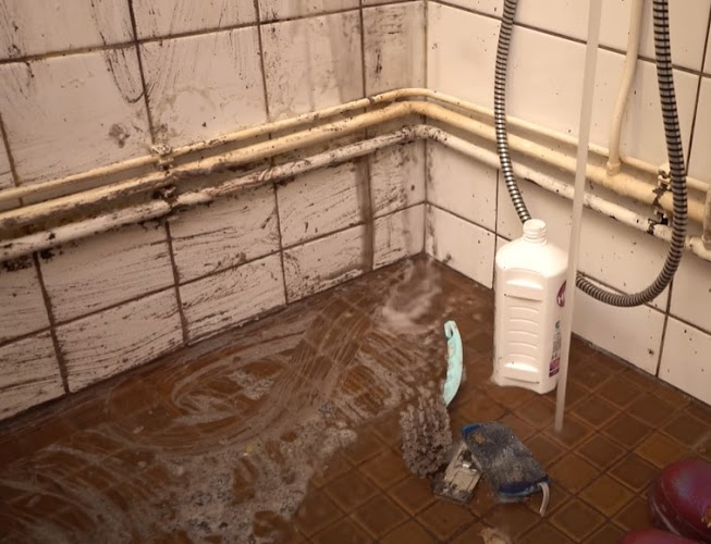 Certified Mold & Water Damage Restoration Of Tampa