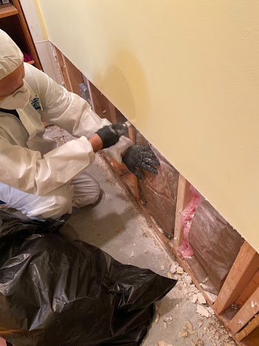 PuroClean of Downtown Chicago