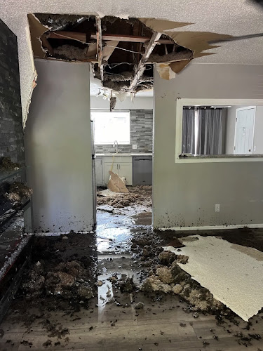 IN & OUT Water Damage Restoration of Torrance