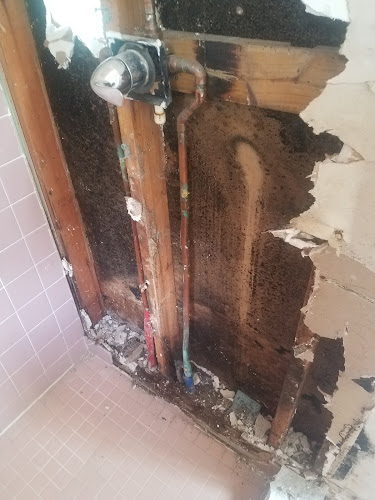 Joe Taylor Restoration