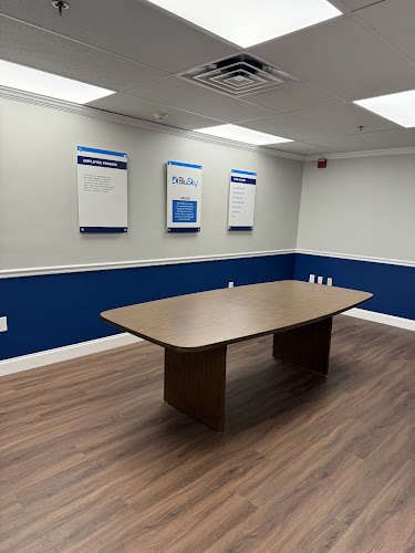 BluSky Restoration Contractors