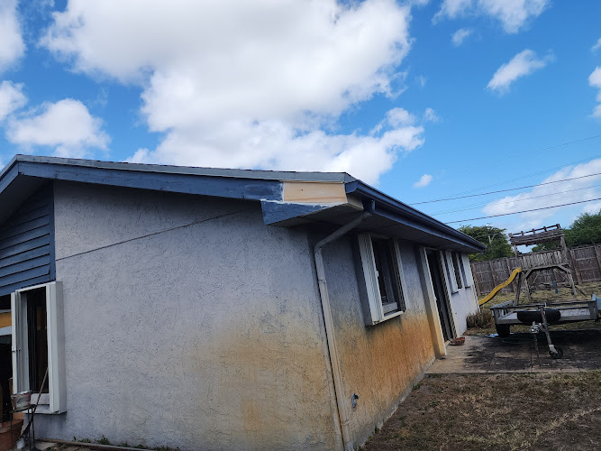 Mold Testing & Removal in Broward. - Gear Construction